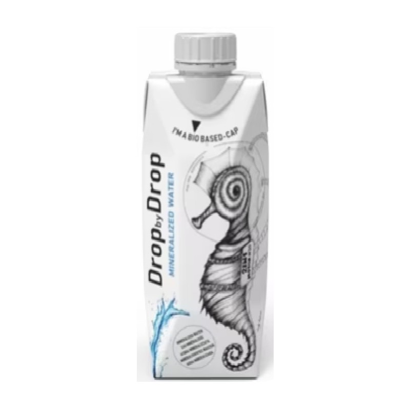 Eau en brique 0, 5L